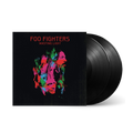 Foo Fighters - Wasting Light - Black Vinyl 2LP